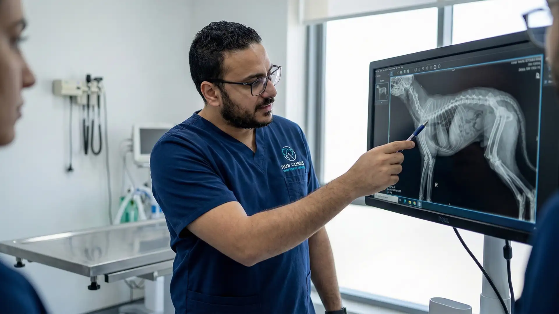 Hub Pet Clinics Orthopedic & Soft Tissue Surgery