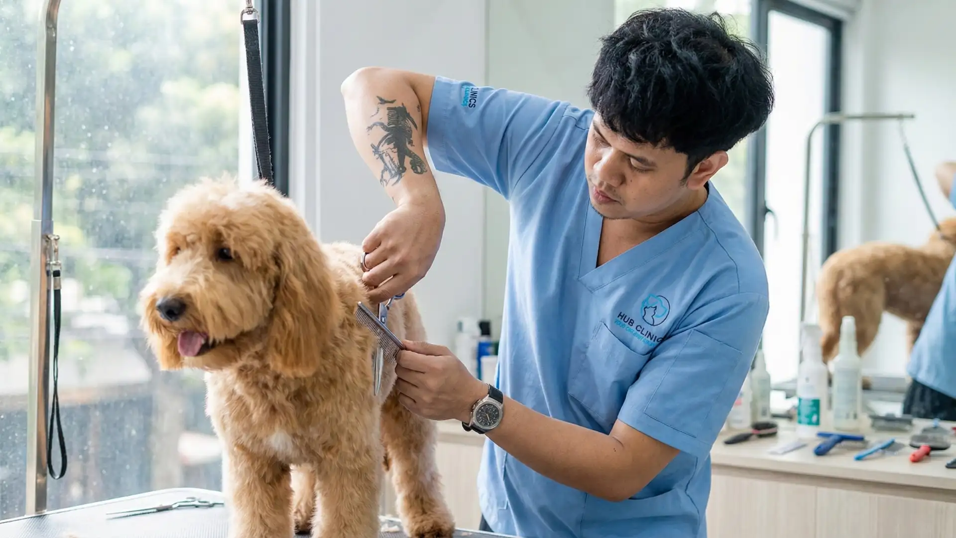 Hub pet Clinics Pet Grooming