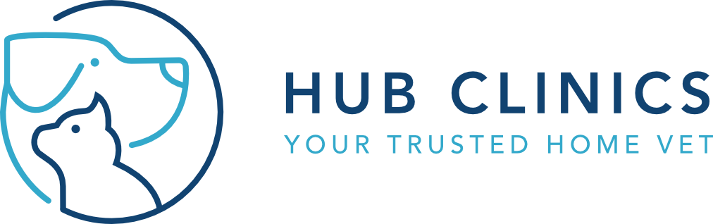 hubclinics logo